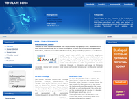 IBSI-US.COM Affordable Custom Web site design Tampa Florida